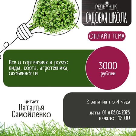 Тема 6: «Все о гортензиях и розах: виды, сорта, агротехника, особенности», 8 часов - фото 20279