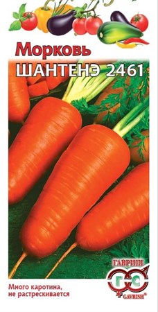 Морковь "Шантенэ 2461" (2 г пакет) - фото 21742