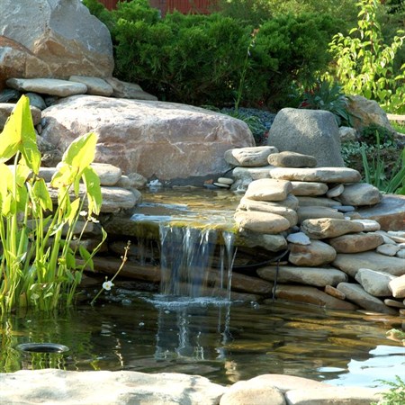 Вебинар "Водная стихия в саду: большие и малые пруды и ручьи. Ассортимент и особенности создания" - фото 24453