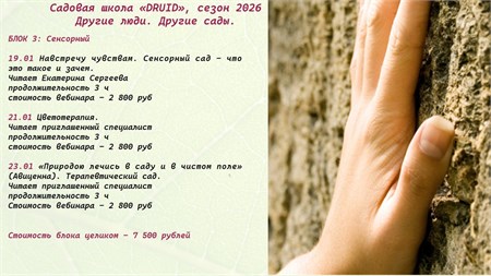 БЛОК 3: Сенсорный 9895