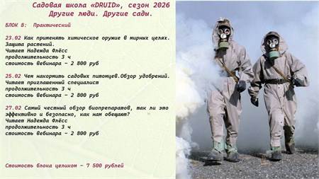 БЛОК 8:  Практический 9915