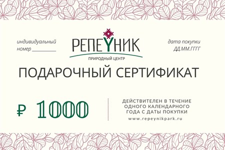 Подарочный сертификат номиналом 1000,00 руб. - фото 8116