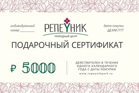Подарочный сертификат номиналом 5 000,00 руб. - фото 8513