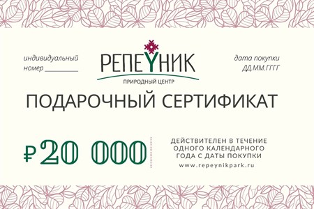 Подарочный сертификат номиналом 20 00,00 руб. - фото 8516