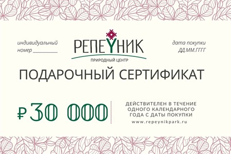Подарочный сертификат номиналом 30 000,00 руб. - фото 8517