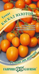 Томат "Каскад золотой"