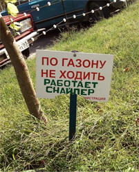 БЛОК 10: 9.03 По газону не ходить!!! А зачем он тогда нужен? Альтернатива газону в современном саду, есть ли она? 9924