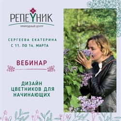 Вебинар 12 часов: "Дизайн цветников для начинающих" Вебинар 12 часов: "Дизайн цветников для начинающих"