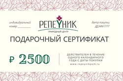 Подарочный сертификат номиналом 2 500,00 руб.