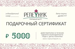 Подарочный сертификат номиналом 5 000,00 руб.