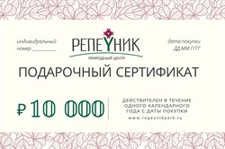 Подарочный сертификат номиналом 10 000,00 руб.