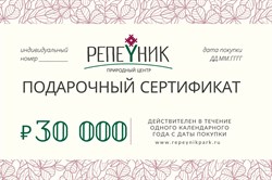 Подарочный сертификат номиналом 30 000,00 руб.
