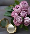 Роза "Boul de Parfum" - фото 12272